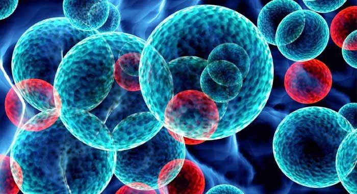 Un tercio de las leucemias tienen hoy una nueva esperanza de tratamiento