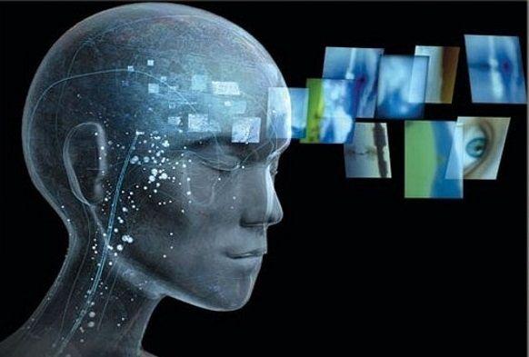 Una buena nutrición favorece a la función cognitiva y a la neuroplasticidad