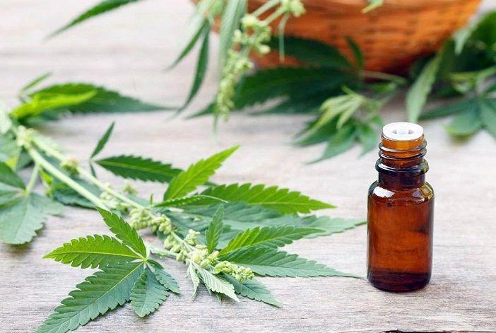 Mendoza reglamentó la ley de uso de cannabis medicinal