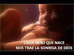 Victoria pro-vida: Cámara en lo Penal de Santa Fe anula sanción a psicóloga de Grávida que ayudó a niña-madre en riesgo de aborto