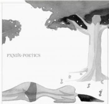 Panda – poetics