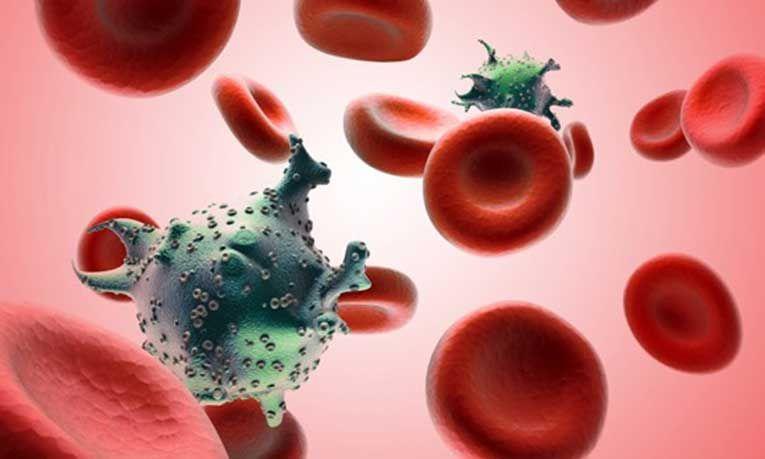 VIH-Sida: Qué es, cuáles son los síntomas, cómo se transmite, se trata y se previene