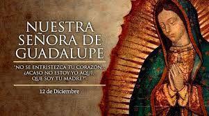 12 de Diciembre: Nuestra Señora de Guadalupe