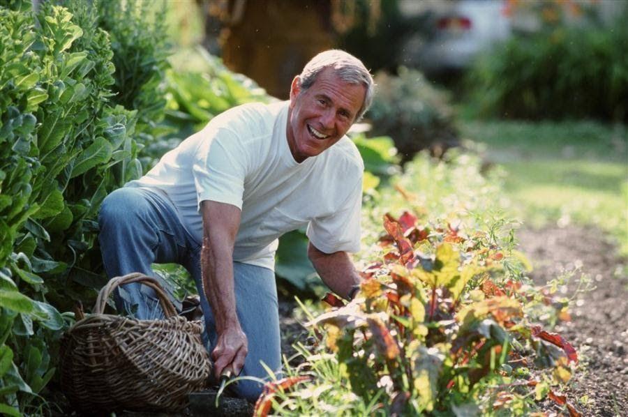 Los quehaceres cotidianos cuidan el cerebro en la vejez