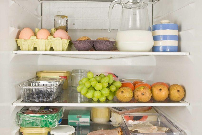 Recomendaciones para el manejo de los alimentos en climas calurosos