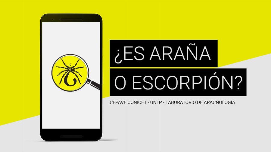 Crearon una APP para identificar los arácnidos venenosos