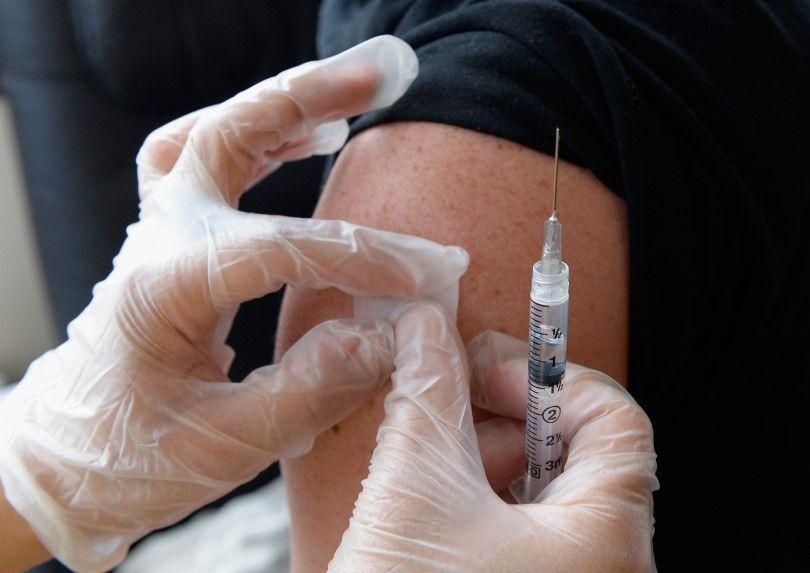 Brasil: Alertan de un brote de fiebre amarilla