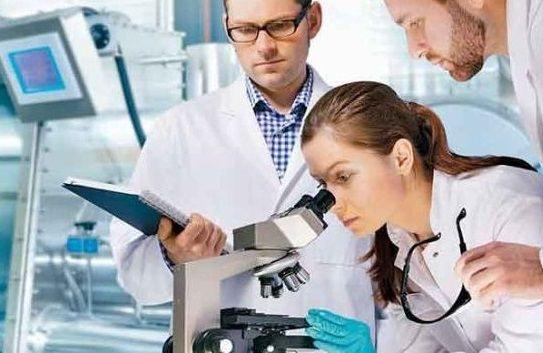 Descubren que un gen clave para la memoria funciona como un virus