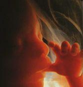 Al Presidente de la Nación, Ing. Mauricio Macri: ¡que no se discrimine al Niño por Nacer en el Plan Nacional de Derechos Humanos!