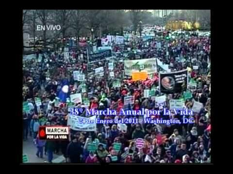 Washington: medio millón de personas dan testimonio a favor de la vida