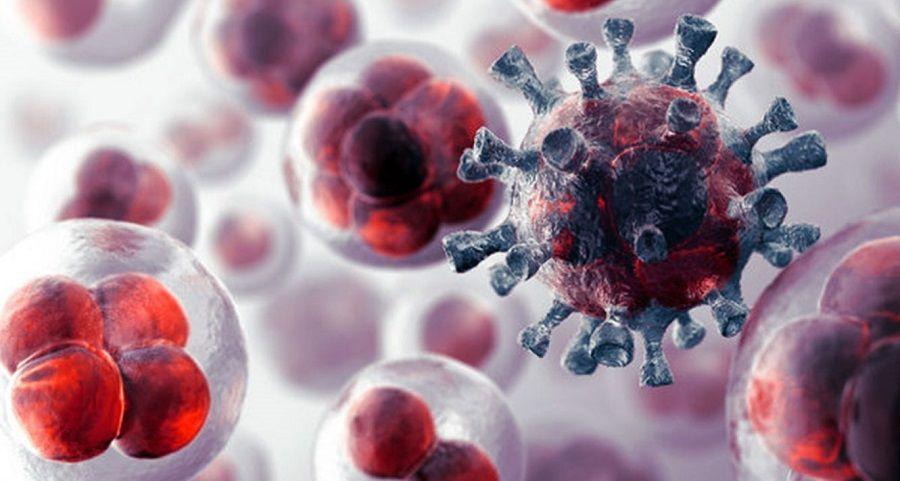 Por el deterioro del sistema inmune el riesgo de cáncer aumenta con la edad