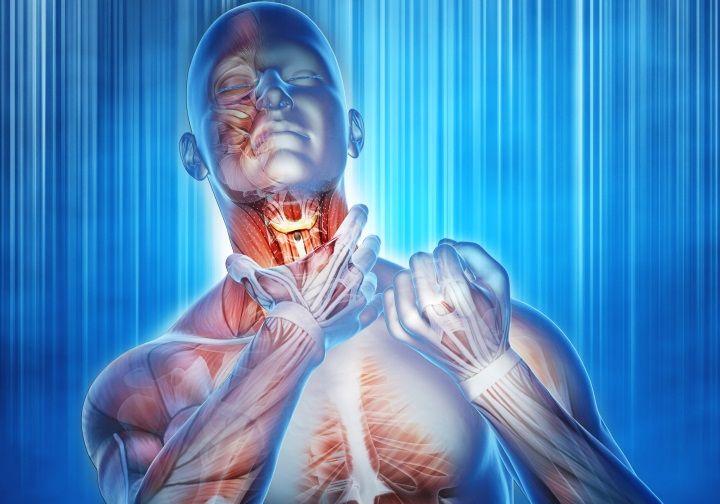 Anafilaxia: Qué es, síntomas, causas, prevención y tratamiento