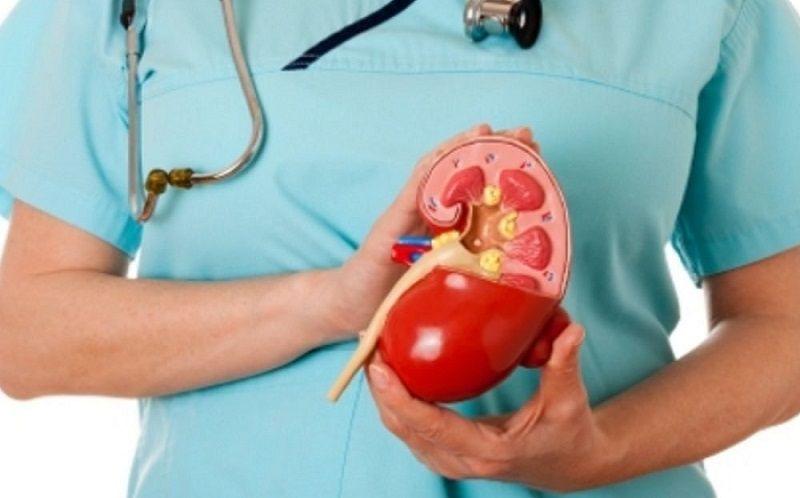 CUCAIBA realiza actividades por el Día Mundial del Riñón