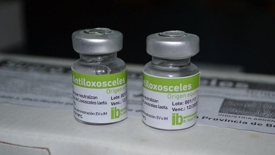 En el Instituto Biológico Tomás Perón, elaboran el suero contra la picadura de la araña de rincón