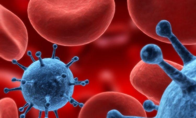 Las células del cáncer colorrectal son genéticamente únicas