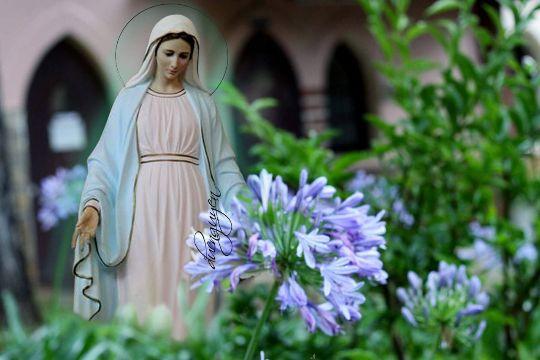 Mensaje del 25 de mayo de 2018