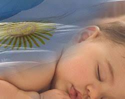 Diputados que se definen a favor de la vida desde la concepción