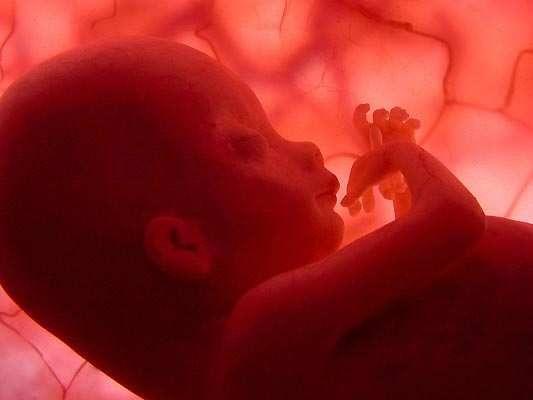 Día de luto para la Argentina: la Cámara de Diputados dio media sanción a la despenalización del aborto