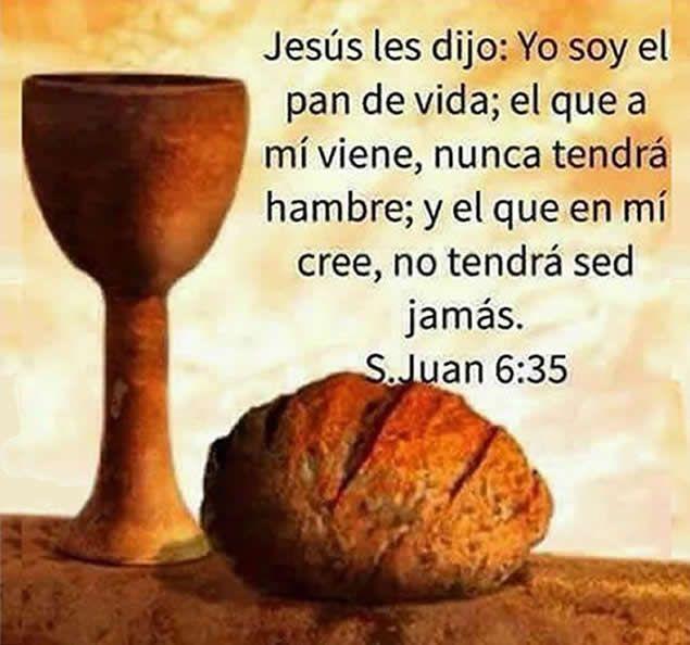 PAN Y VIDA (Dom. 17)