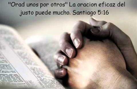 LA BATALLA POR LA SALUD (Dom. 19)