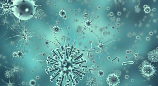 Llegó al país un nuevo antibiótico para el tratamiento de bacterias multirresistentes