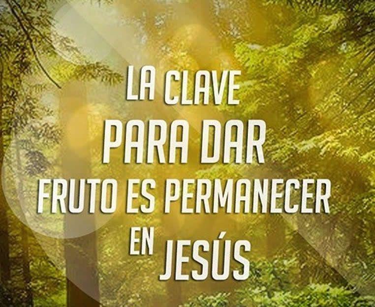 PERMANECER EN JESÚS (Dom. 20)