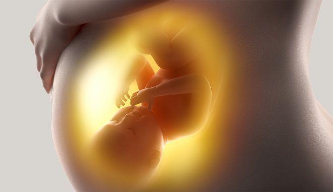 ¿El cáncer pasa de la madre al feto?