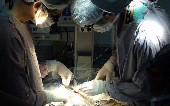 Novedosa técnica en el hospital Balestrini para operar a pacientes con inestabilidad cervical severa