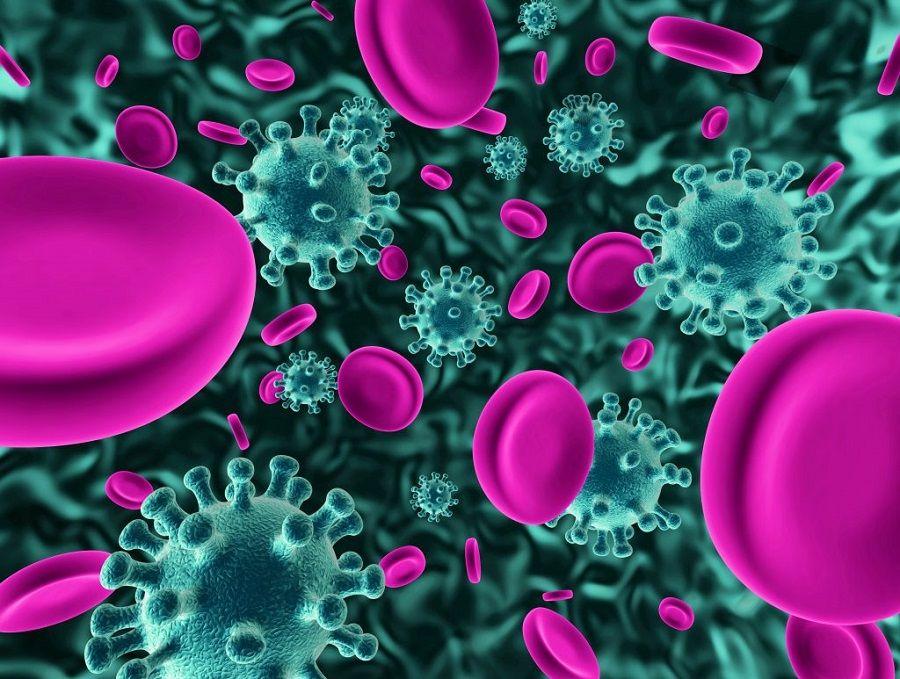 Día Mundial del Mieloma Múltiple, el segundo cáncer hematológico más frecuente