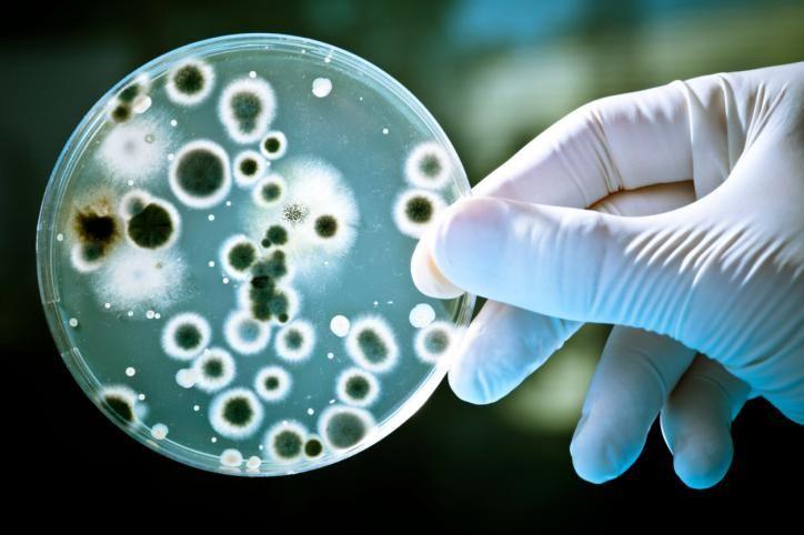 Alerta epidemiológica por una bacteria: 3 niños murieron y tres están graves