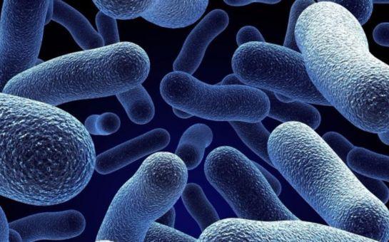 Fallecen otras dos nenas en Rosario y Misiones por el Streptococcus pyogene