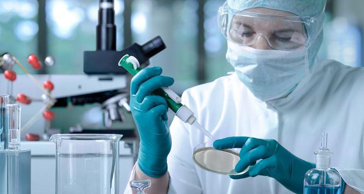 Tranquilizadores resultados de estudios sobre muestras de Streptococcus pyogenes