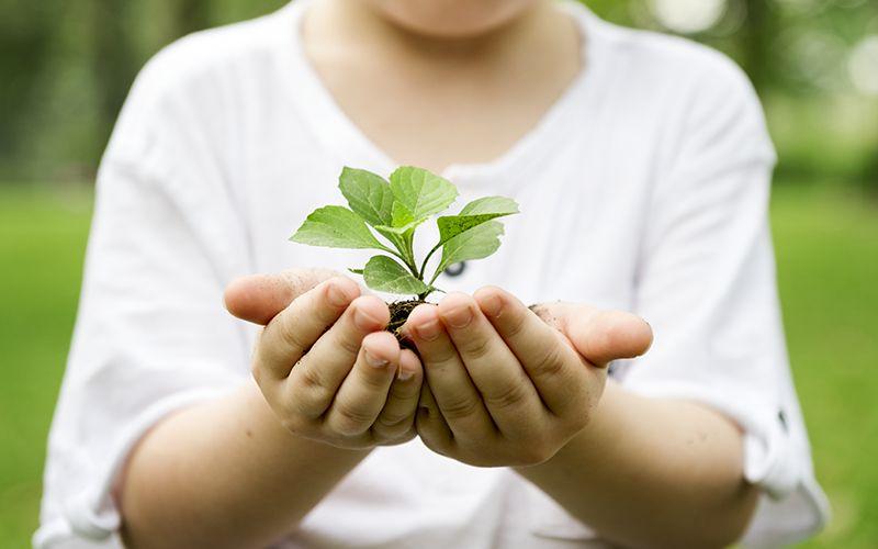 El Garrahan conmemora el Día de la Salud Ambiental con consejos para las familias