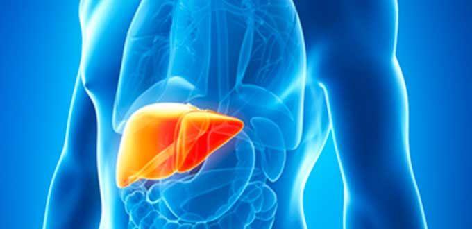Tener hígado graso sextuplica el riesgo cardiovascular