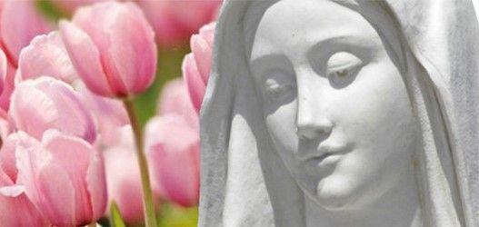 MENSAJE del 25 de septiembre de 2018