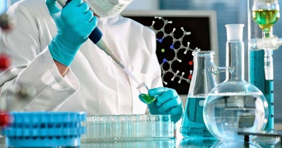 Fiebre amarilla: avanza el proyecto para la producción nacional de la vacuna