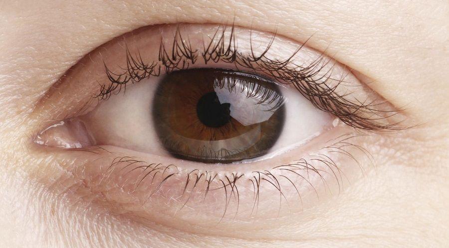 Récord de donantes de córneas en octubre