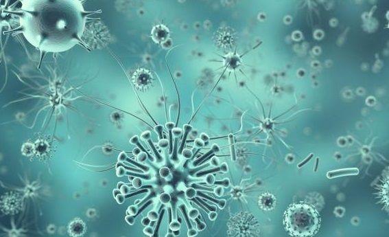 Las resistencia a los antibióticos causan 33.000 muertes al año en Europa