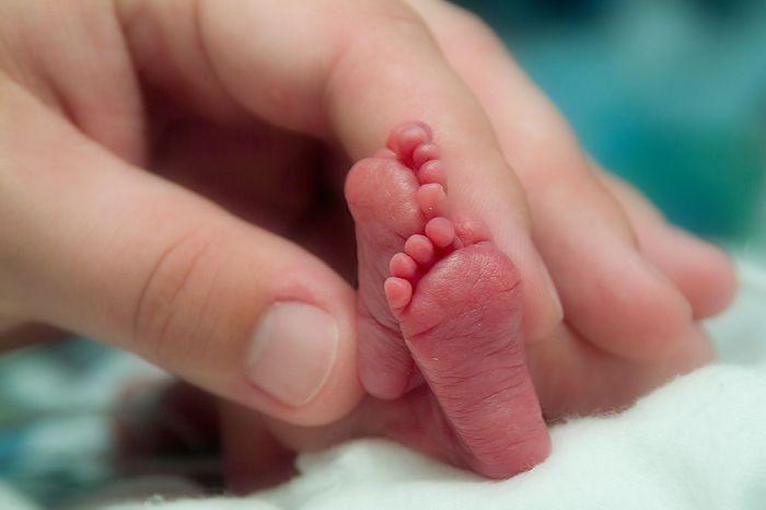 La Provincia de Buenos Aires celebra la Semana del Prematuro