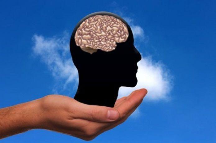 Desarrollan nuevo método para evaluar la inteligencia y la personalidad