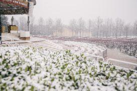 MENSAJES del 25 de Diciembre de 2018