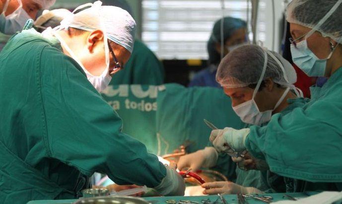Argentina registró más de 700 donantes de órganos en 2018
