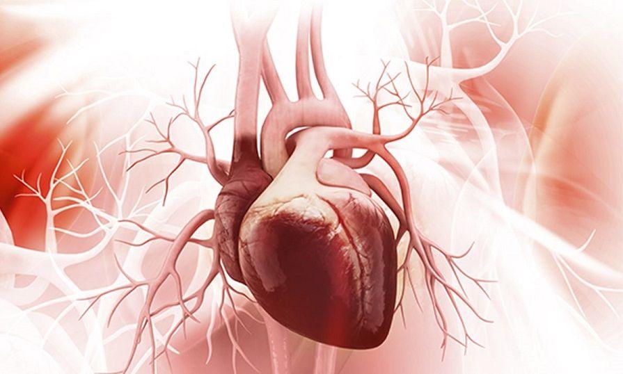 Implantan una válvula aórtica con planificación virtual preoperatoria a paciente de 89 años
