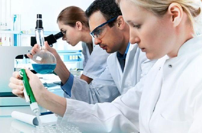 Engañan a las células tumorales para que se conviertan en grasa