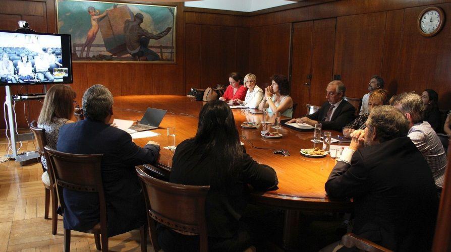 Autoridades sanitarias analizaron la evolución del brote de hantavirus en Epuyén