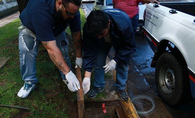 Hantavirus: San Isidro continúa con los operativos de desratización