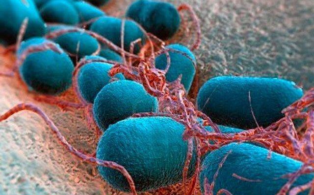 Cómo detectar la lepra y qué medidas tomar para prevenirlo