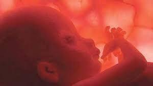 La Ley de Salud Reproductiva de Nueva York, una copia de la ley abortista italiana