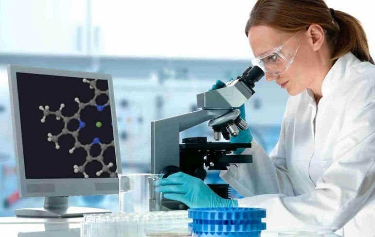 Científicos españoles crean en 20 días minirriñones a partir de células madre