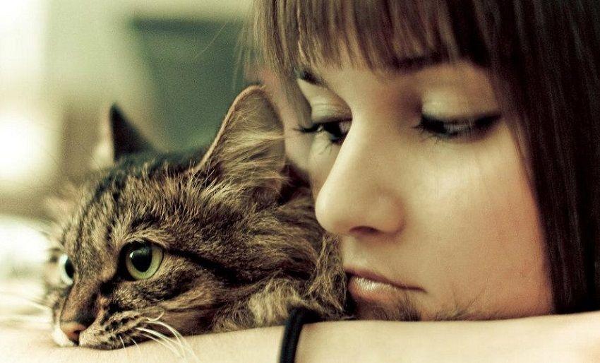 Toxoplasmosis: qué es, síntomas, causas, prevención y tratamiento